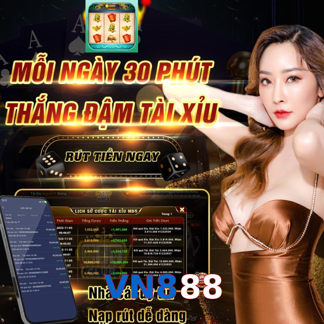 VN888