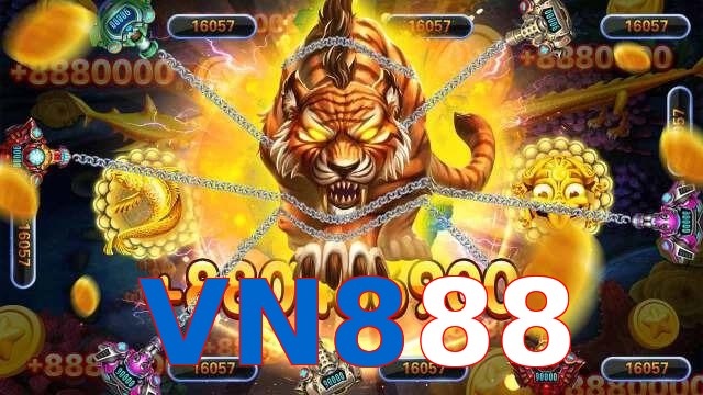 VN888