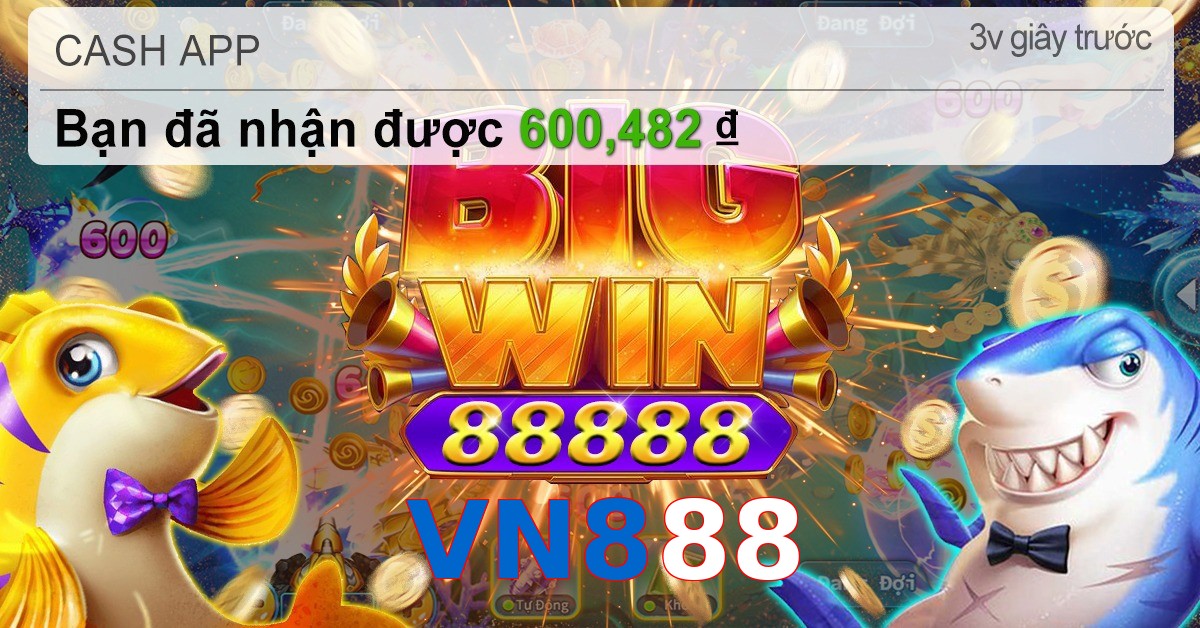 VN888